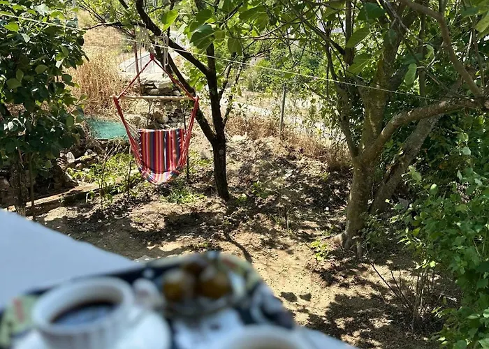 Appartamento Albanian Oasis