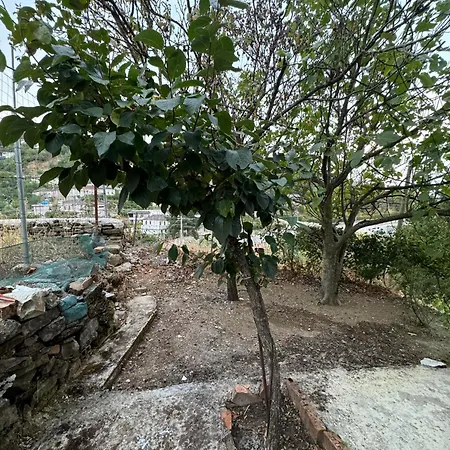 Apartment Albanian Oasis *