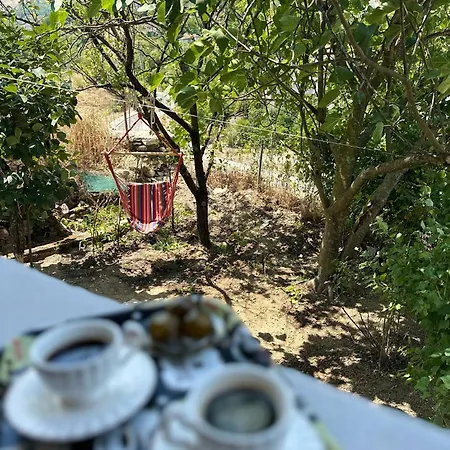 شقة Albanian Oasis