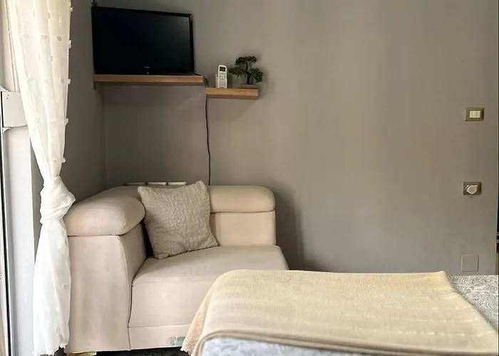 Albanian Oasis Daire Gjirokastër